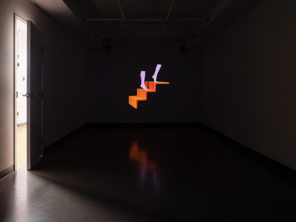 10LSchmidtDisplayFormInstallationView